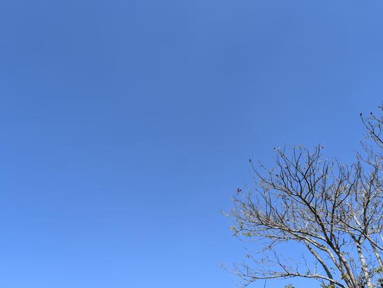 Blue As Sky